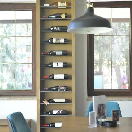 Guest house Grande 3*